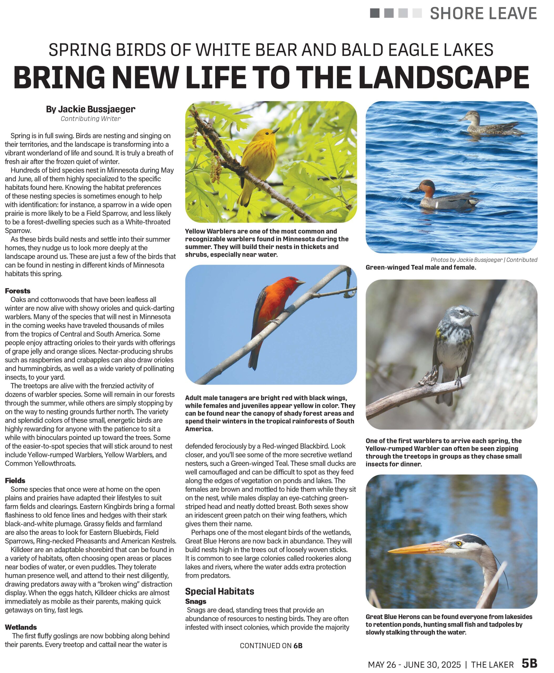 WBLaker_Spring 2025_Part17